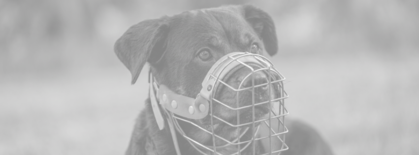 Header Bild BW 1